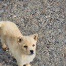 상구농장 이미지