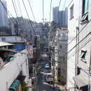 잣나무약수터 이미지