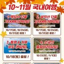 정성여행사
