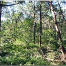 월명촌농장 이미지