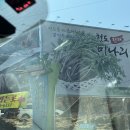 한재미나리와삼겹살거리 | 청도 한재 맛집 제일 핫한 한재참미나리식육식당