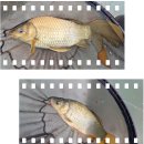 배양낚시터 이미지