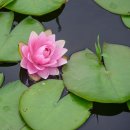 상리공원 이미지