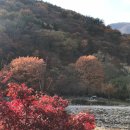 제185차 익산 보석산악회 정기산행 2025년11월9일 지리산 피아골 단풍산행 이미지