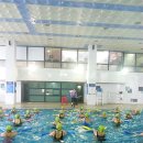 일가정양립지원본부실내수영장 이미지