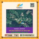 전**태양광발전소 이미지