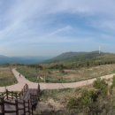 경주전자담배
