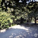 통진공중화장실 이미지