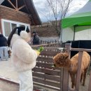 임실자연농원 이미지