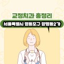 서울특별시 영등포구 양평동2가 교정치과 총정리
