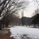 자작나무관광농원 이미지