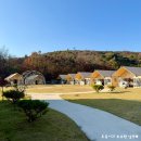 경북전자 | 경북 글램핑 추천 대구 근교 키즈 숙소 왜관 힐포레 글램핑 후기