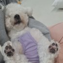 보듬보듬 이미지