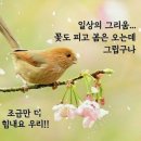 ＜02,27.주일오전예배설교＞ 보화를 캐내는 믿음 이미지