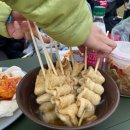 아씨네간식 | 251125-26 피와씨 연례 행사, 세종 보헤미안~ 뮤직 페스티벌🎶 후기