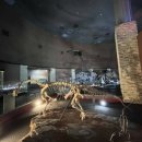 공룡게임랜드 이미지