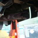 트윈모터스 이미지