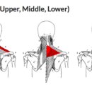 여성전용 24시 미사PT 필라테스 디펜스짐 이미지