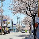 하나로누가약국 이미지