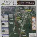 원주굽이길 2코스 700년 노송길 이미지