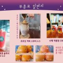 애견일번지