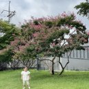 올림픽공원-88호수(옥외화장실) | 아기랑 벚꽃 나들이 숨은 명소 추천 + 서울 벚꽃 피크닉 꿀팁(유모차 편한 곳만 정리)