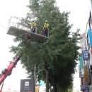 기동반-40 이미지