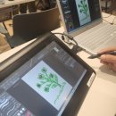 웹툰 창작교실 이미지