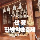 구기자 약초시장 | 2023 산청 한방약초축제 후기 체험추천 쇼핑추천