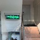 대림골프스쿨 | 서울 성동구 대림골프스쿨, 가격, 가는법, 후기