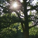 크로스핏 헬벤트 오창 이미지