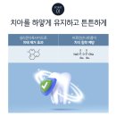 뉴스킨주 | 뉴스킨 치약 AP24 충치 예방 고불소 정착후기! 월화 딱 2일 핫딜찬스