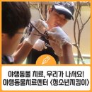 부산야생동물치료센터 | 야생동물을 치료하는 데 &lt;청소년지킴이&gt;가 나섭니다!
