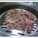 부산갈매기 횟집 이미지