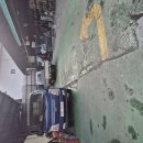 자동차정기검사 이미지