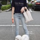 강아지리드줄 웍웍 비숑 갑돌이 산책 후기