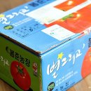 봄춘농장