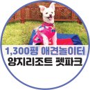 양지파인펫파크, 수도권 야외 강아지운동장, 서울근교애견놀이터1,300평의 천연잔디 !!! 완전 강추 ㅠㅠ...