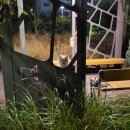 미사한강1호공원 이미지