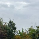 지에스(GS)25청학한아름점 | 10월의 나날들