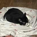 아리파트너스 이미지