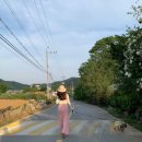 바우하우스 105 | [홍천여행]애견독채펜션:: ‘바우하우스 105’ 강력추천 후기❤️