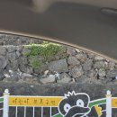 말루목장 이미지