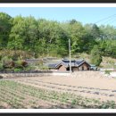 양양이두형가옥 이미지