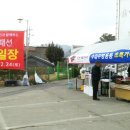 알뜰홈패션