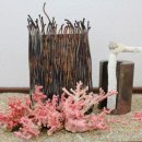 세계조가비박물관 이미지