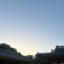 달빛별빛 - 안성시 비룡5길 14 | 2026년 별빛 달빛 창경궁 야행 참여 후기
