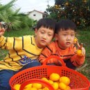 태송농장 이미지