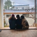 로텐바움(Rotenbaum)