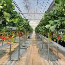 충북석유(주) 이미지